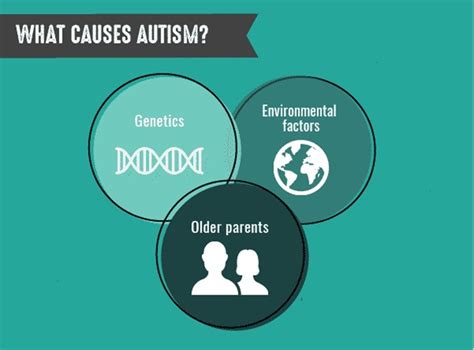 What Causes Autism To Happen